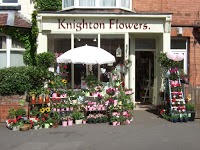 Knighton Flowers 290019 Image 1